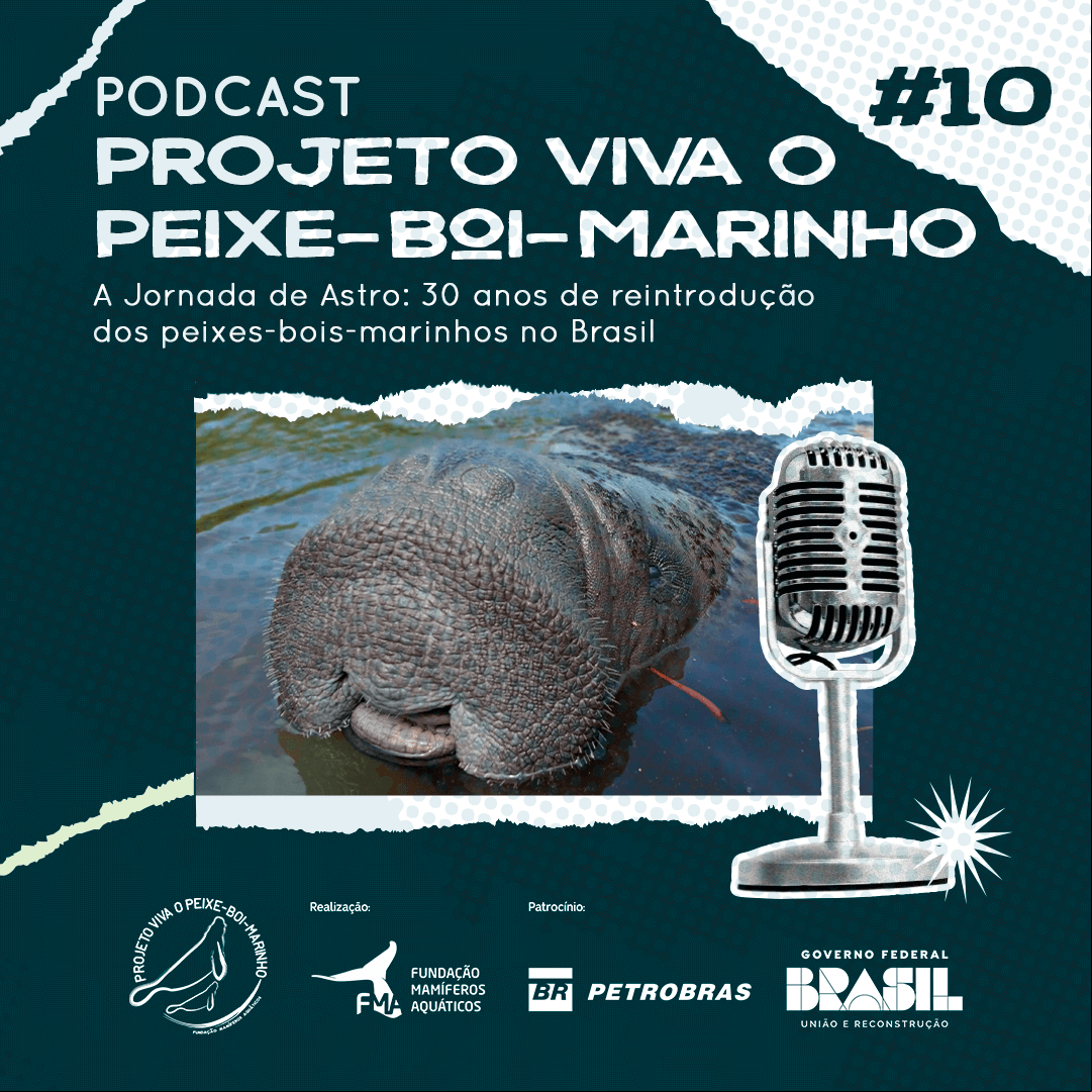 capa de Podcast Projeto Viva o Peixe-Boi-Marinho: EP #01 - TEMP 02 - A Jornada de “Astro” – 30 anos da reintrodução de peixes-bois-marinhos no Brasil